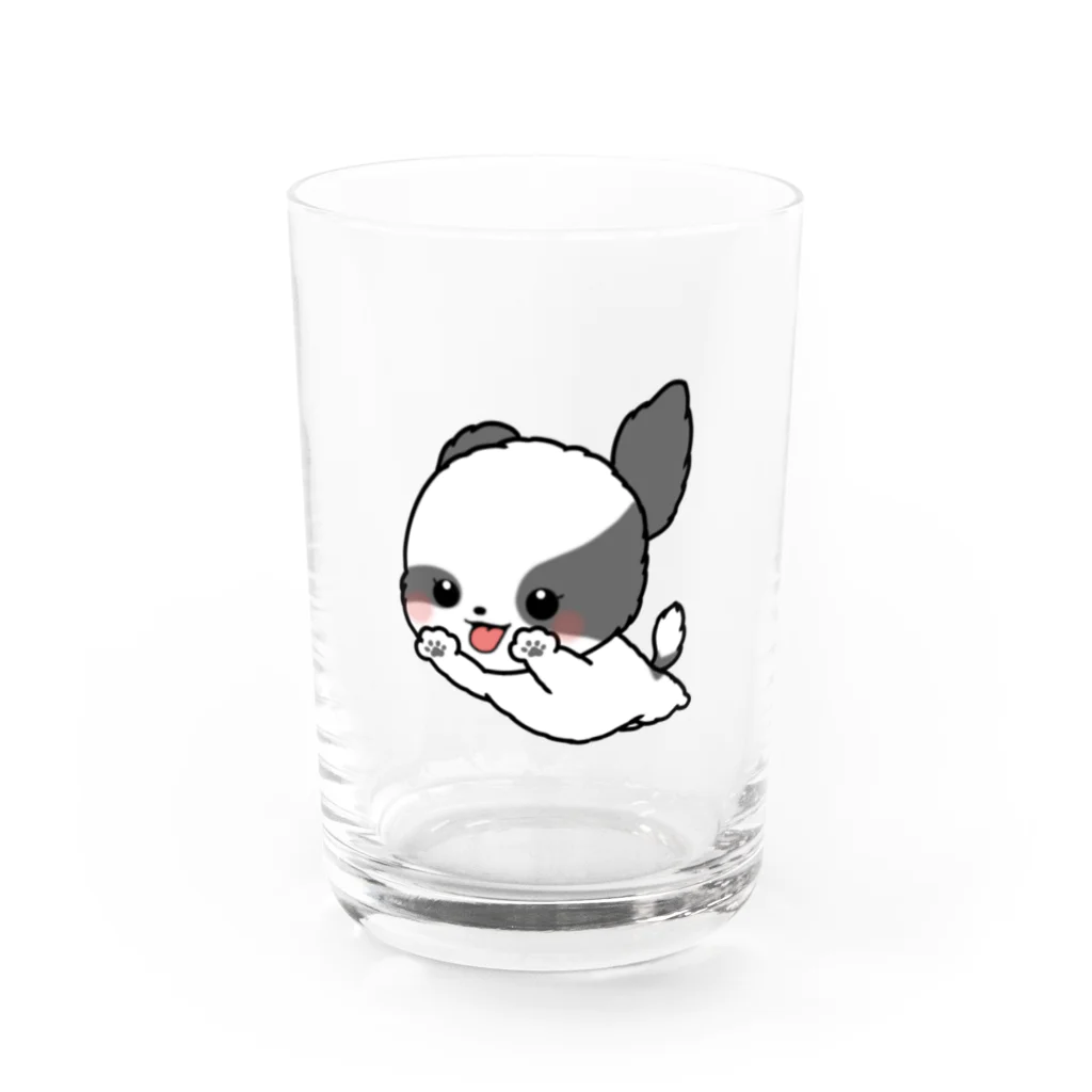 pote©o*  ハンドメイドドッグウェアの飛行フジちゃん Water Glass :front