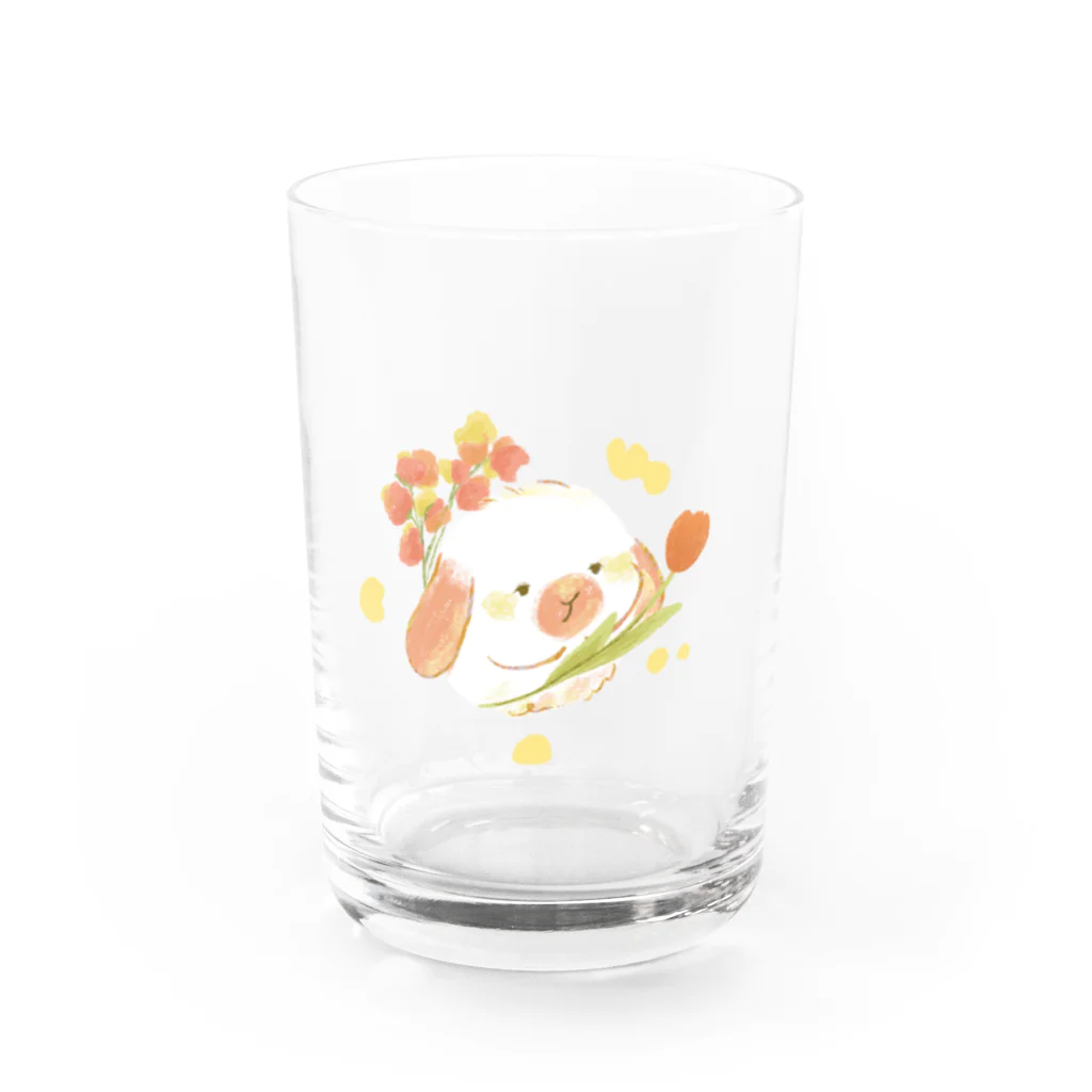 many many rabbits.のはるがきた Water Glass :front