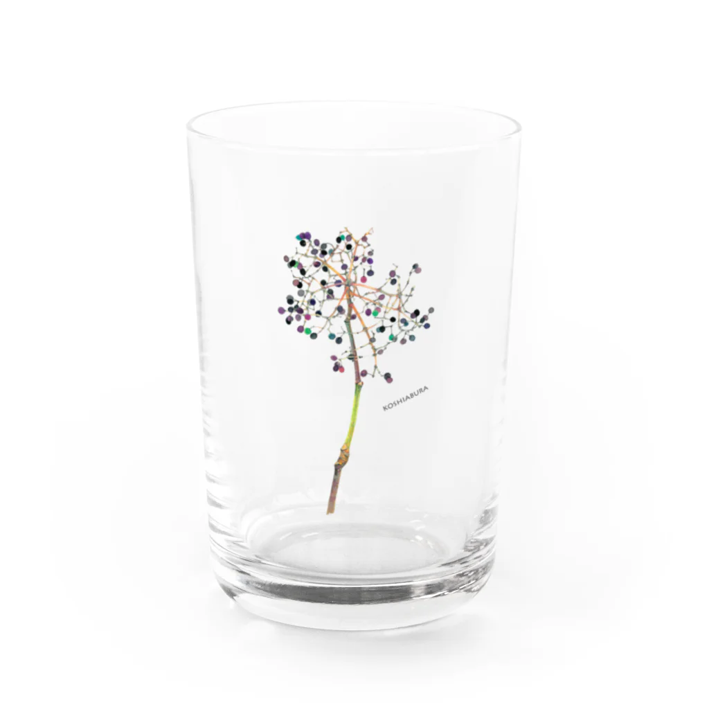 外山康雄　野の花館のこしあぶらは春だけじゃないのよ！ Water Glass :front