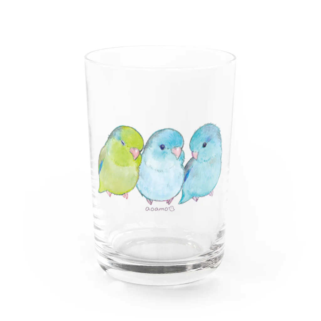 aoamo shopのaoamoマメルリハ Water Glass :front