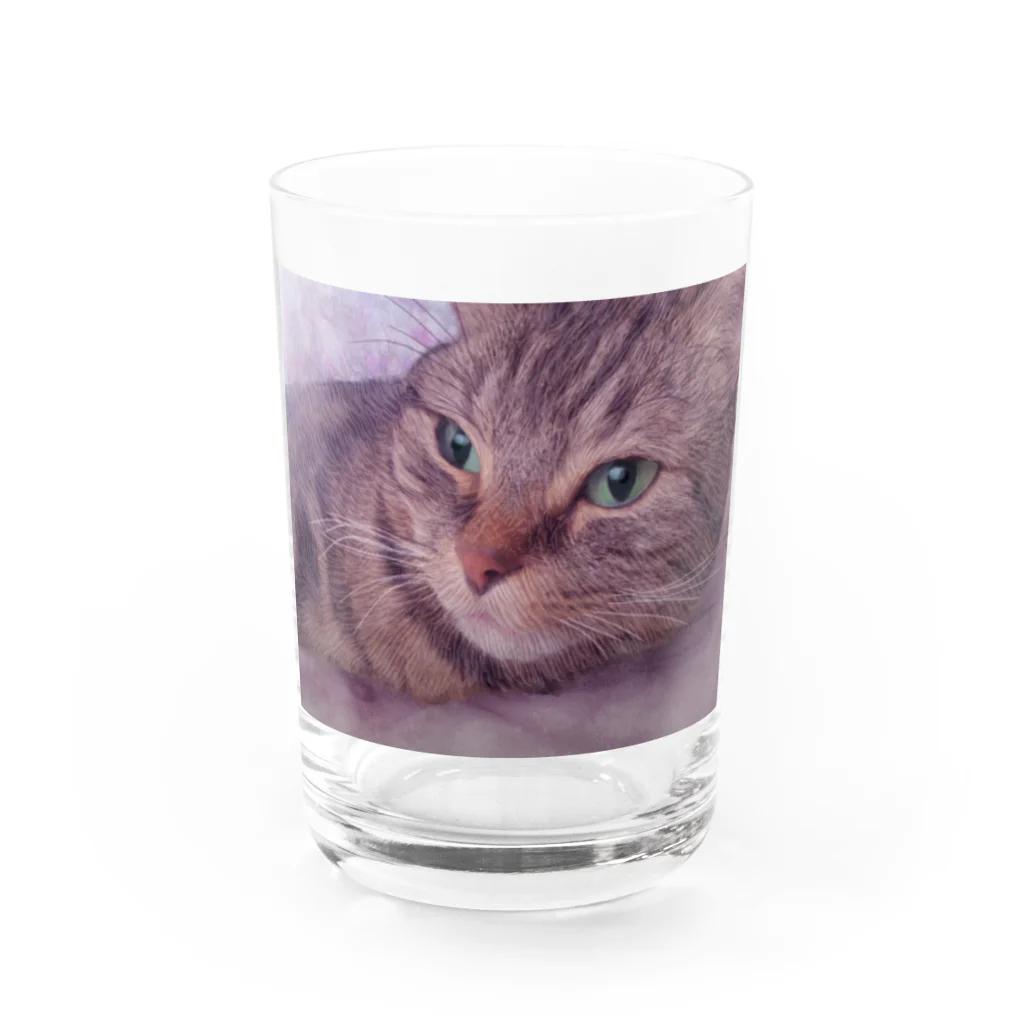 MUYU /  Animal ArtistのMemories with my pet １ Water Glass :front