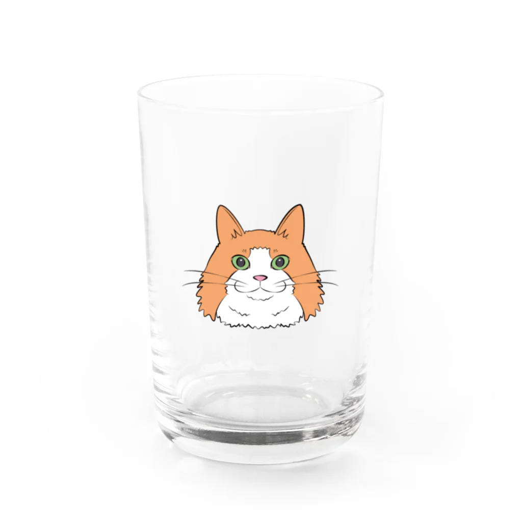 もふもふはちわれずの髭袋デカ美 Water Glass :front