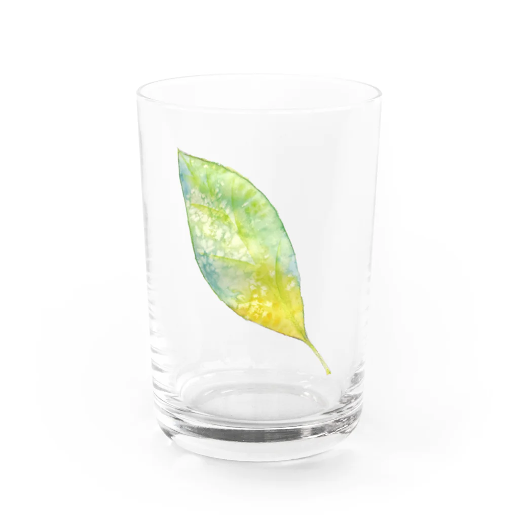 暖暖あたたかの葉っぱ Water Glass :front