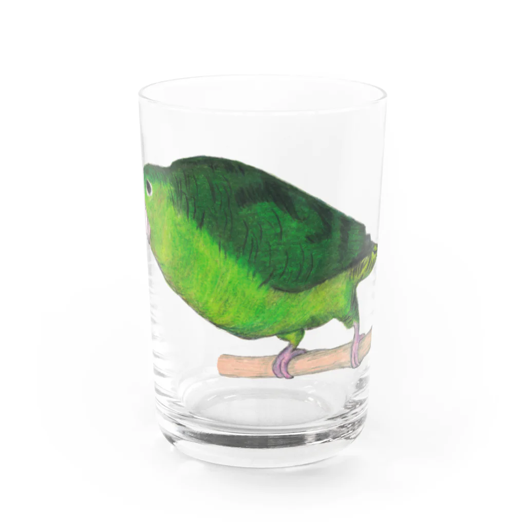 森図鑑の[森図鑑] サザナミインコ緑色 Water Glass :front