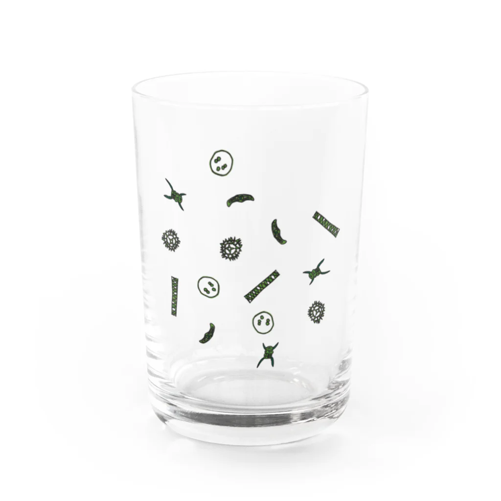 六三八デザイン室のびせいぶつ Water Glass :front