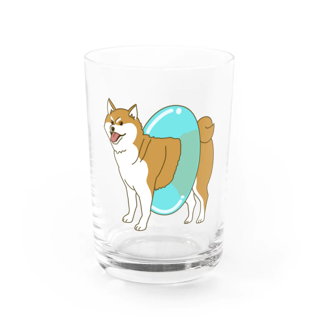 takaseのSHOPのプールに行く気の柴犬 Water Glass :front