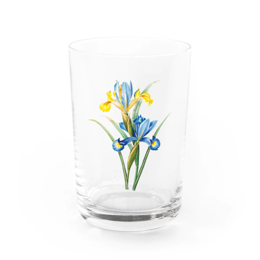 Hungry Freaksのスパニッシュ・アイリス Water Glass :front