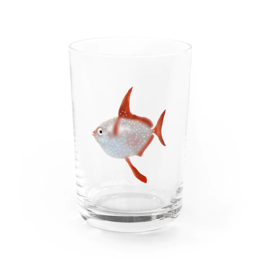 しんごんごのアカマンボウ Water Glass :front