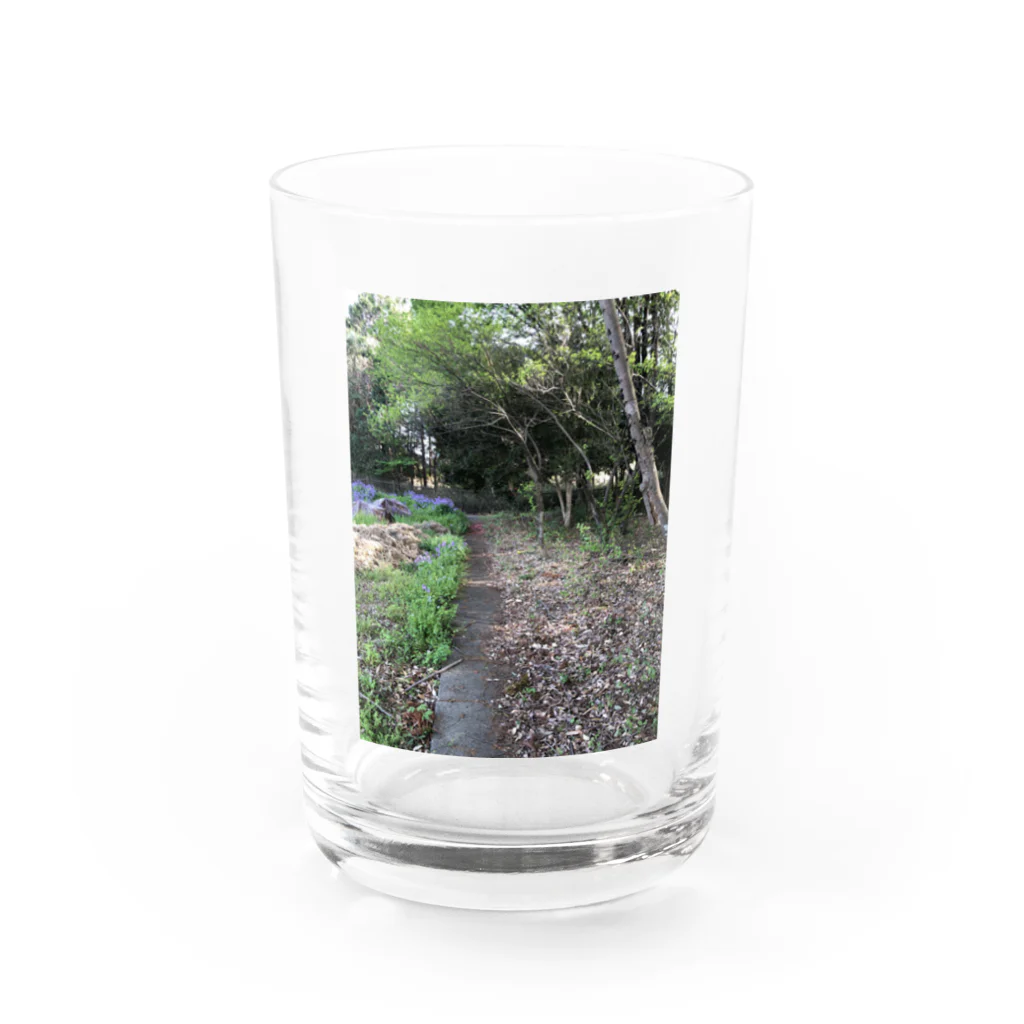 民　三角　（たみ　みかど）の花の専門店のあなただけの場所 Water Glass :front