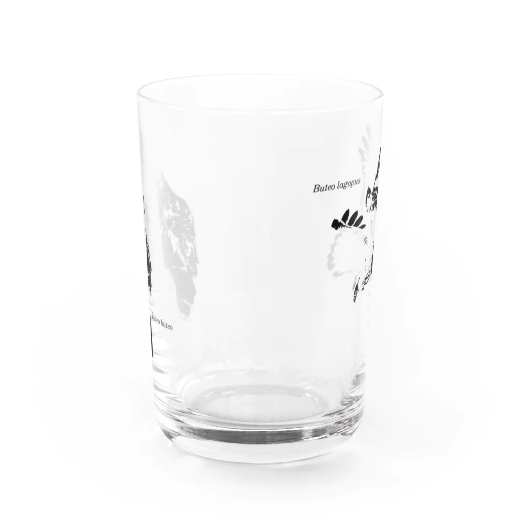 ヤストリのノスリとケアシノスリ Water Glass :front