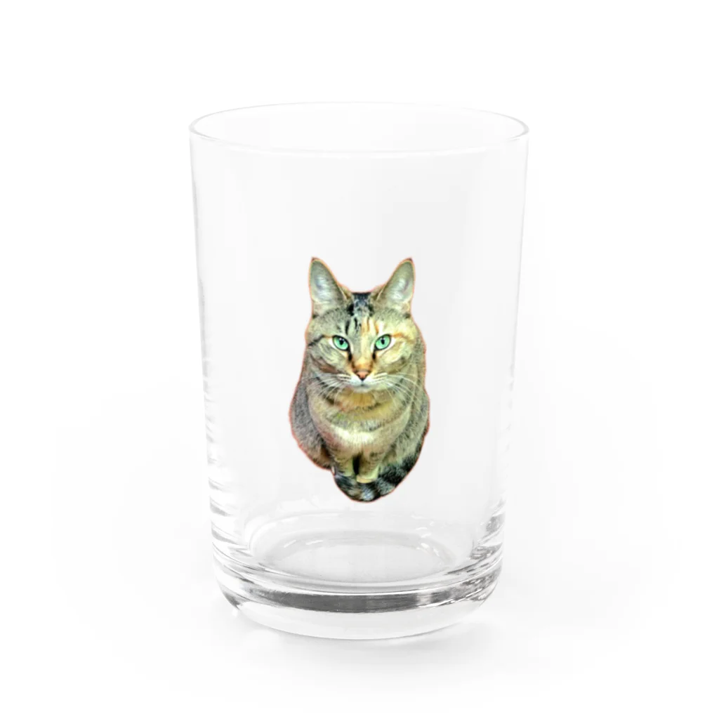 桃くるみSHOPのしっぽマフラーにゃん Water Glass :front