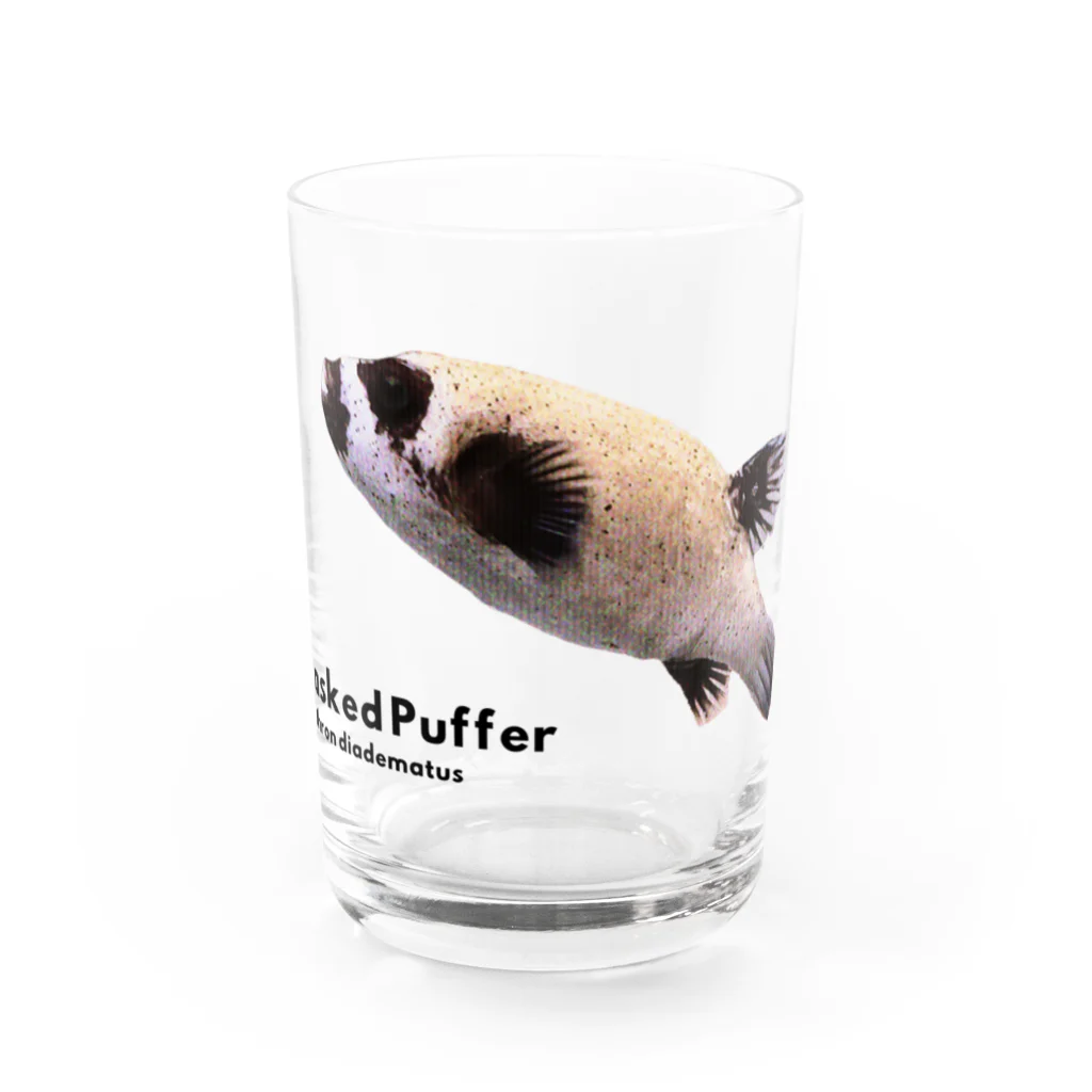 FUGU_GOODSのマスクドパファー Water Glass :front