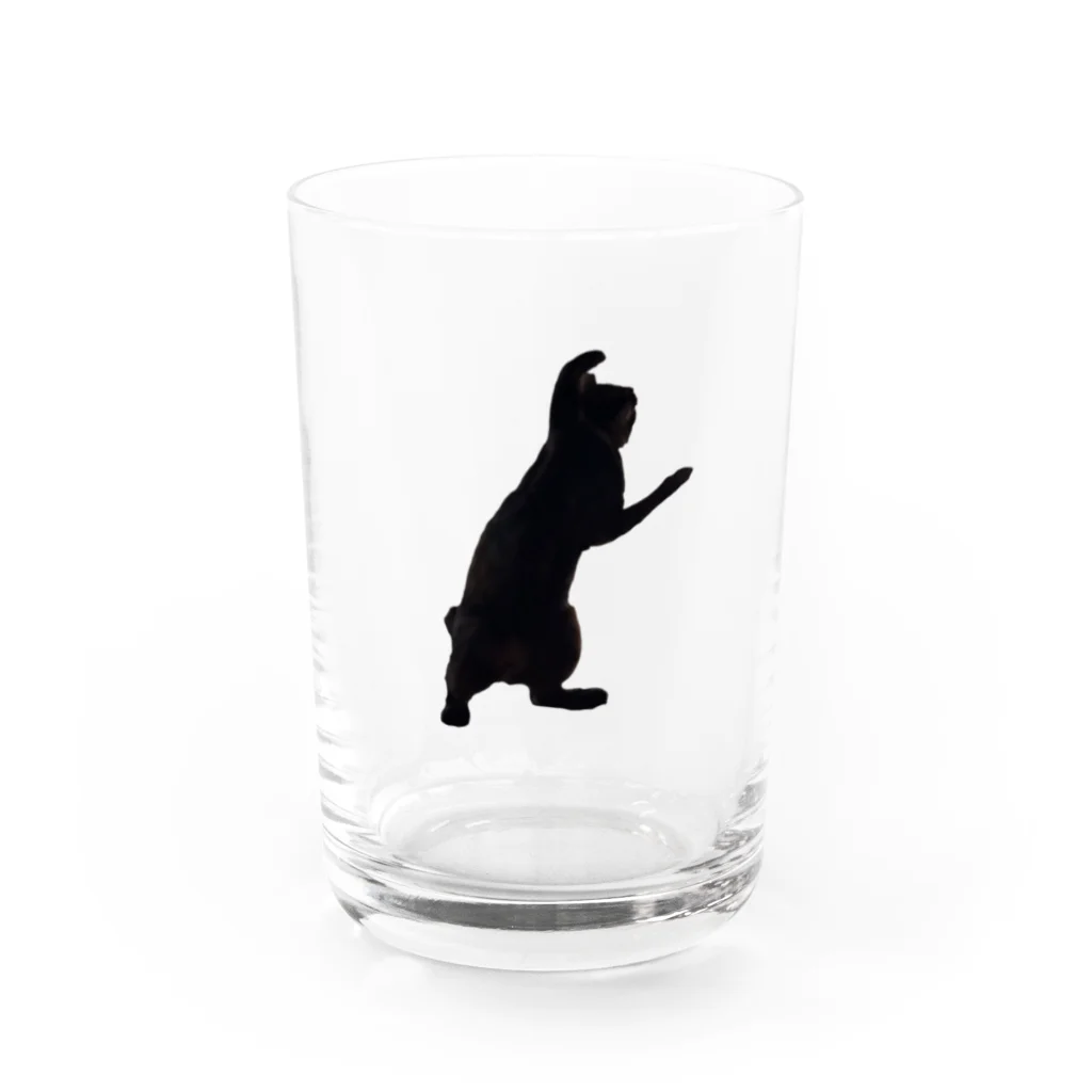 あめちゃんの逆光のあめちゃん Water Glass :front