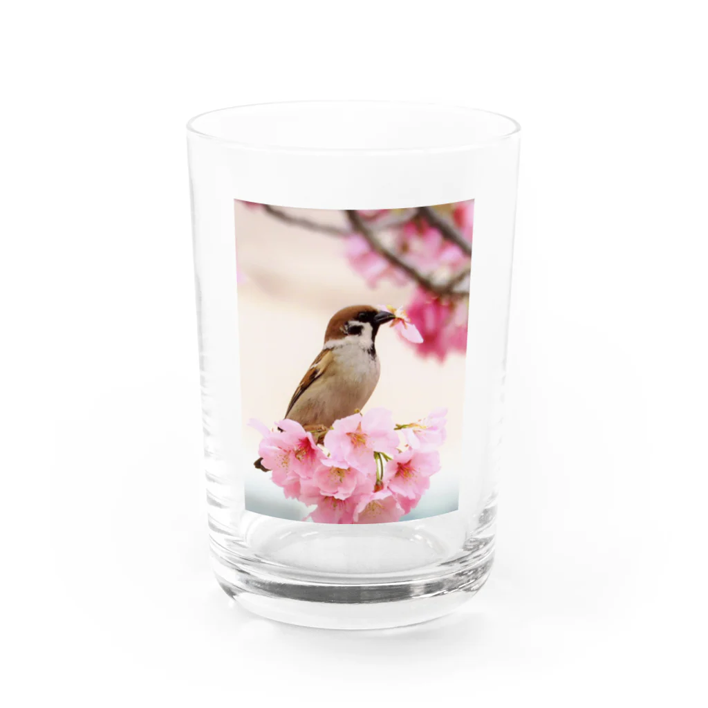 Toritorizmの桜スズメ Water Glass :front