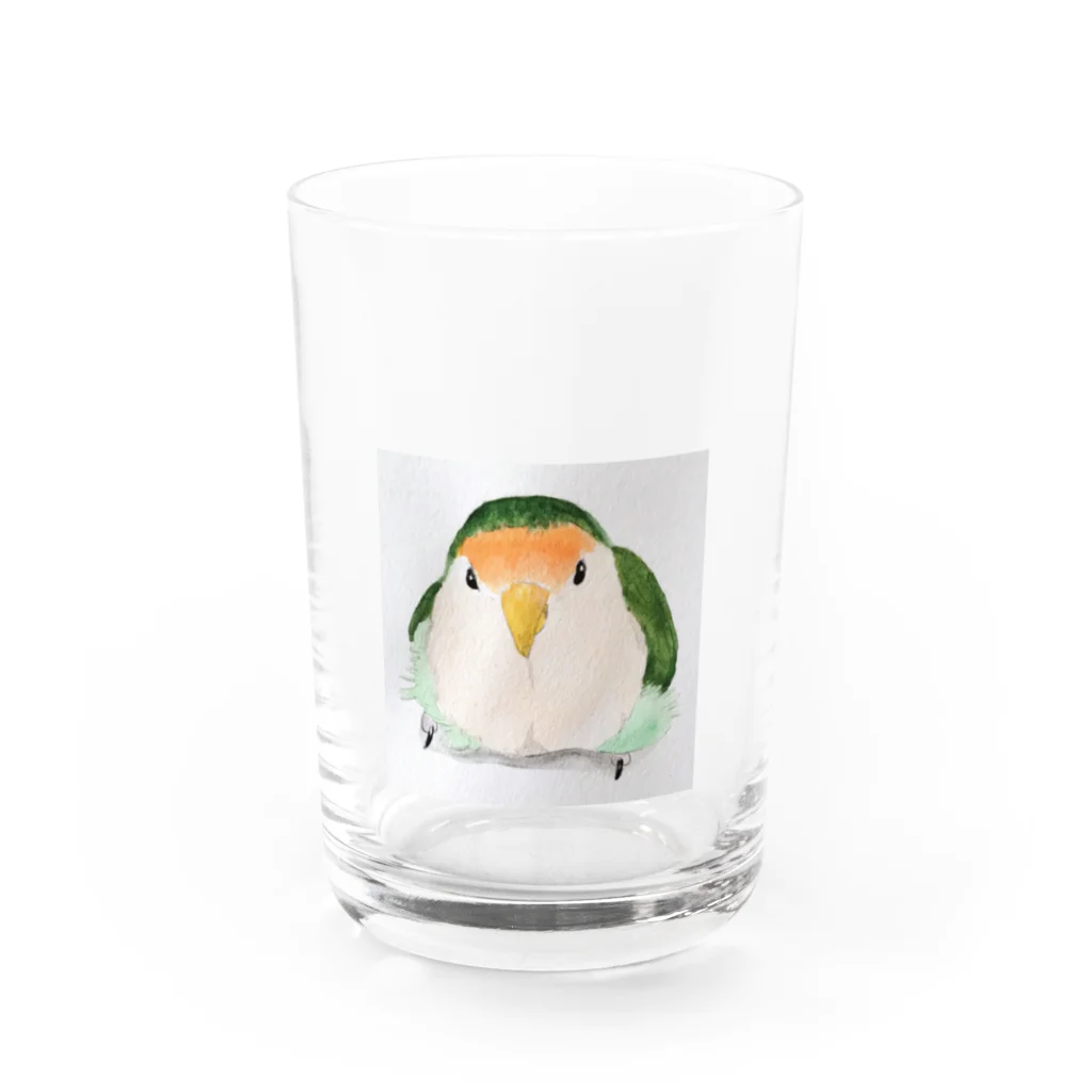 水色堂の見上げる丸いコザクラインコ Water Glass :front