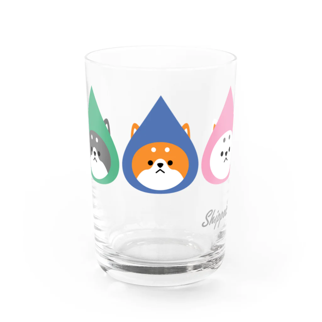 しっぽ堂のとんがり帽子の柴犬たち Water Glass :front