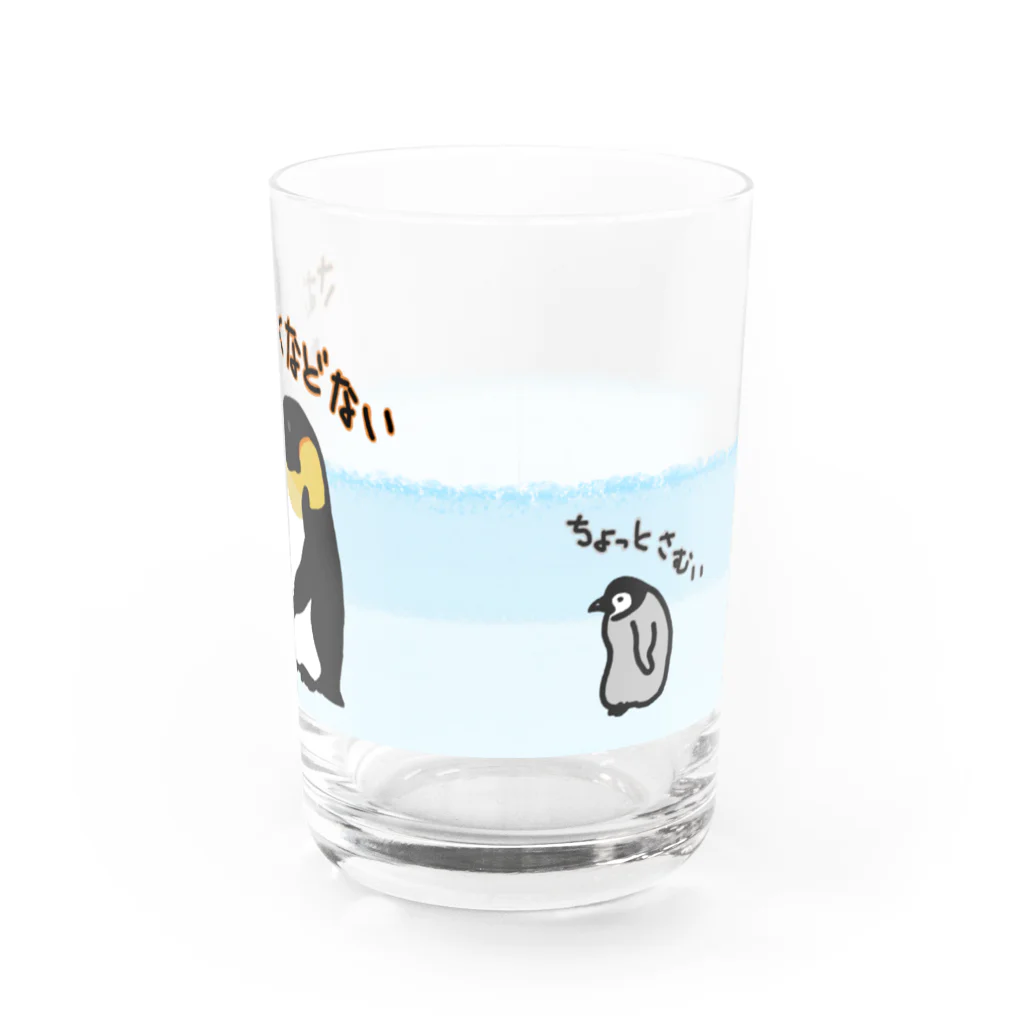 いきものや　のの（別館）のコウテイペンギンのおやこ（背景あり） Water Glass :front