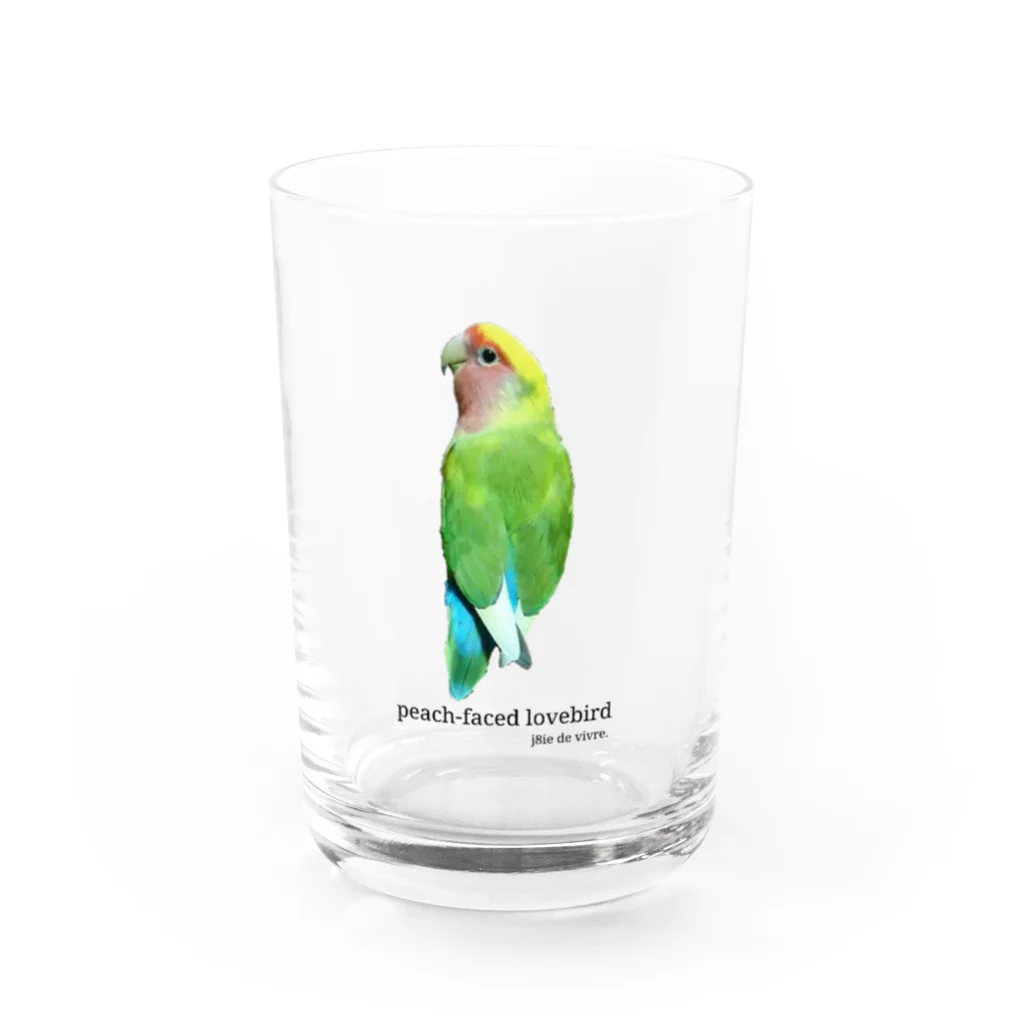 j8ie de vivre♪のコザクラインコ　タイガーチェリー Water Glass :front