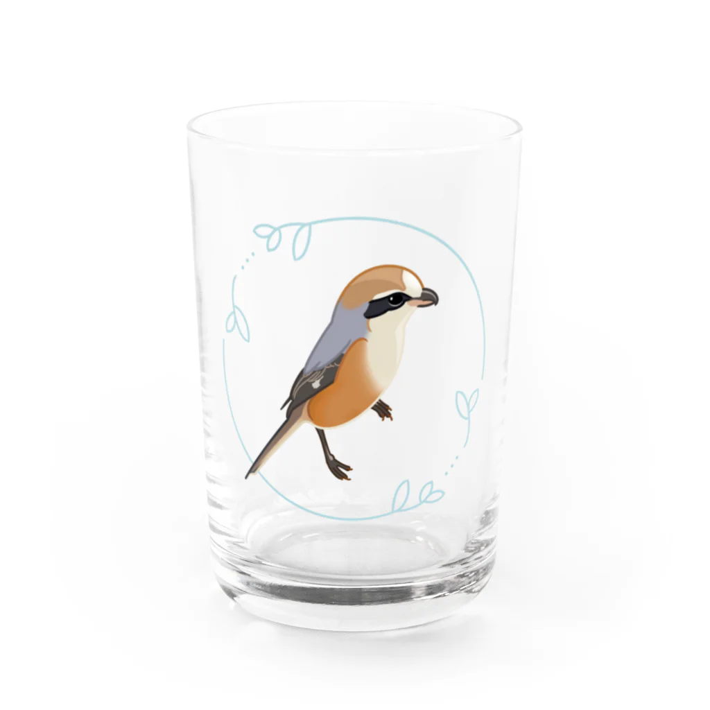 やちよ｜リアル鳥イラストのモズさん Water Glass :front