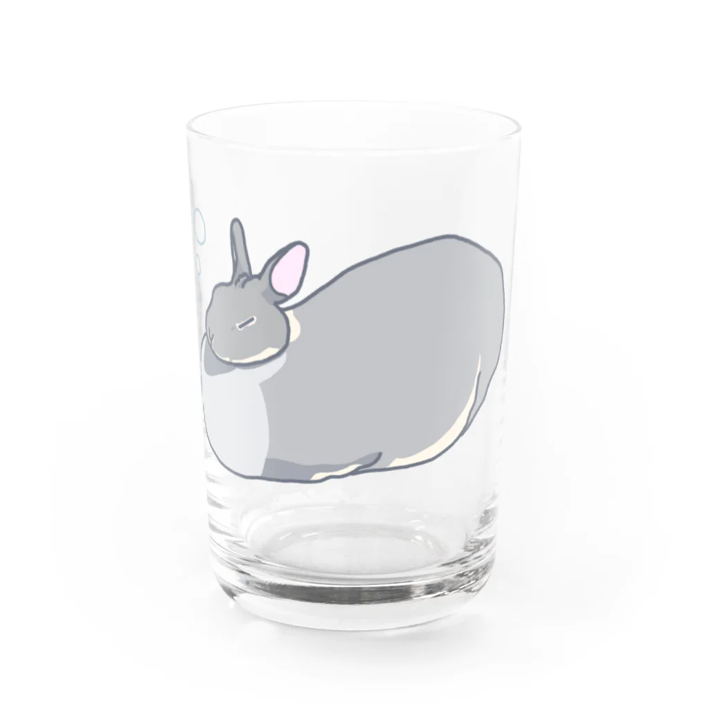 クジャクAサンバのうさぎのとめお「ぷーぷー」 Water Glass :front