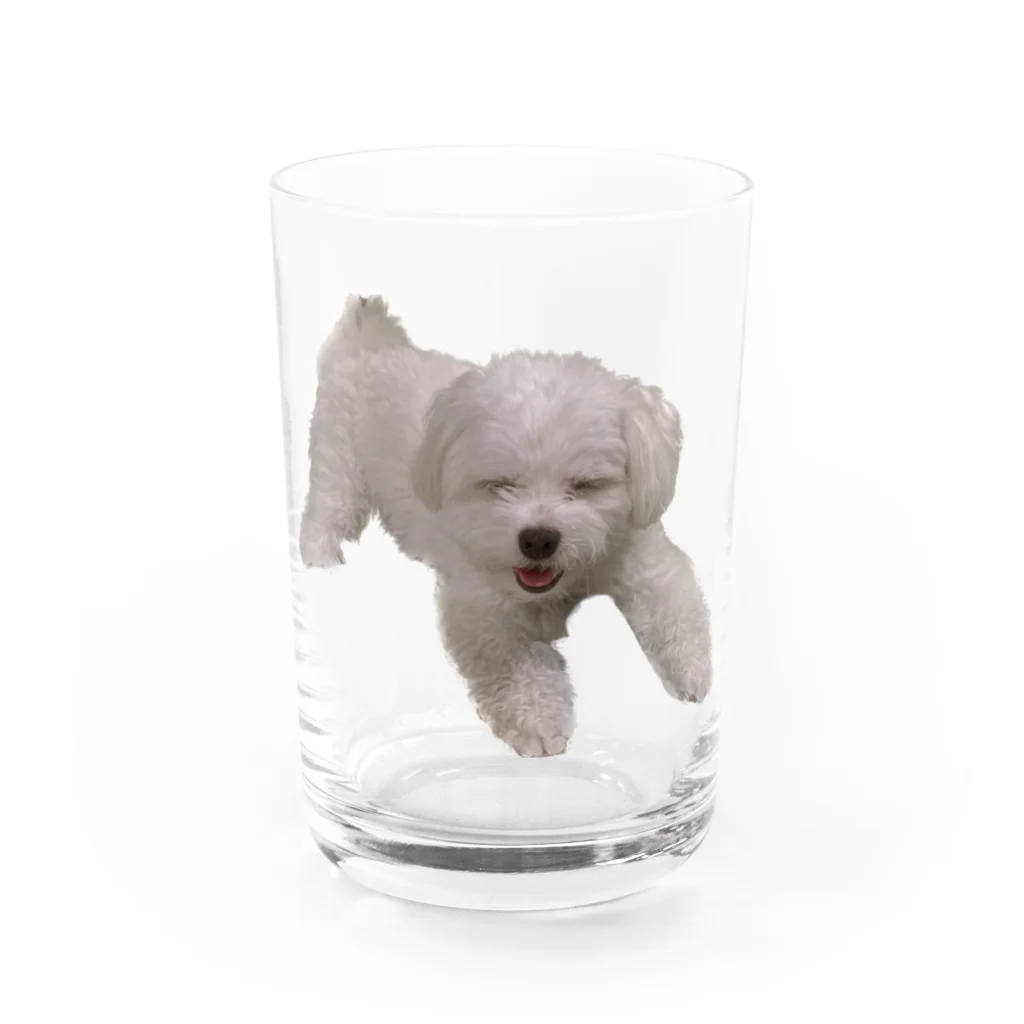 うちの犬のグッズの幸せそうな顔のいぬ Water Glass :front