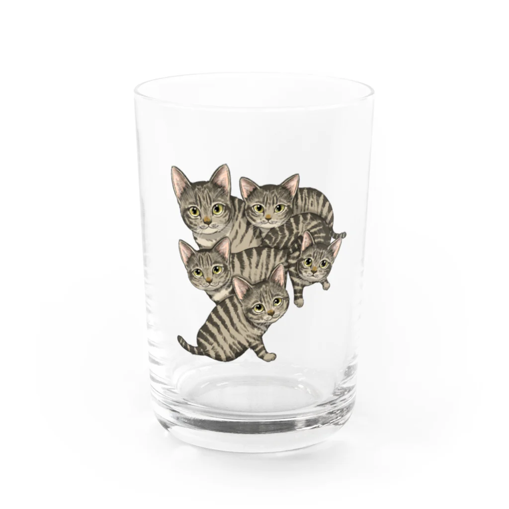 縁-yukari-のキジトラ軍団 Water Glass :front