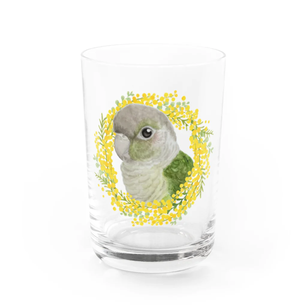 mariechan_koboの040 ウロコインコシナモン ミモザのリース Water Glass :front