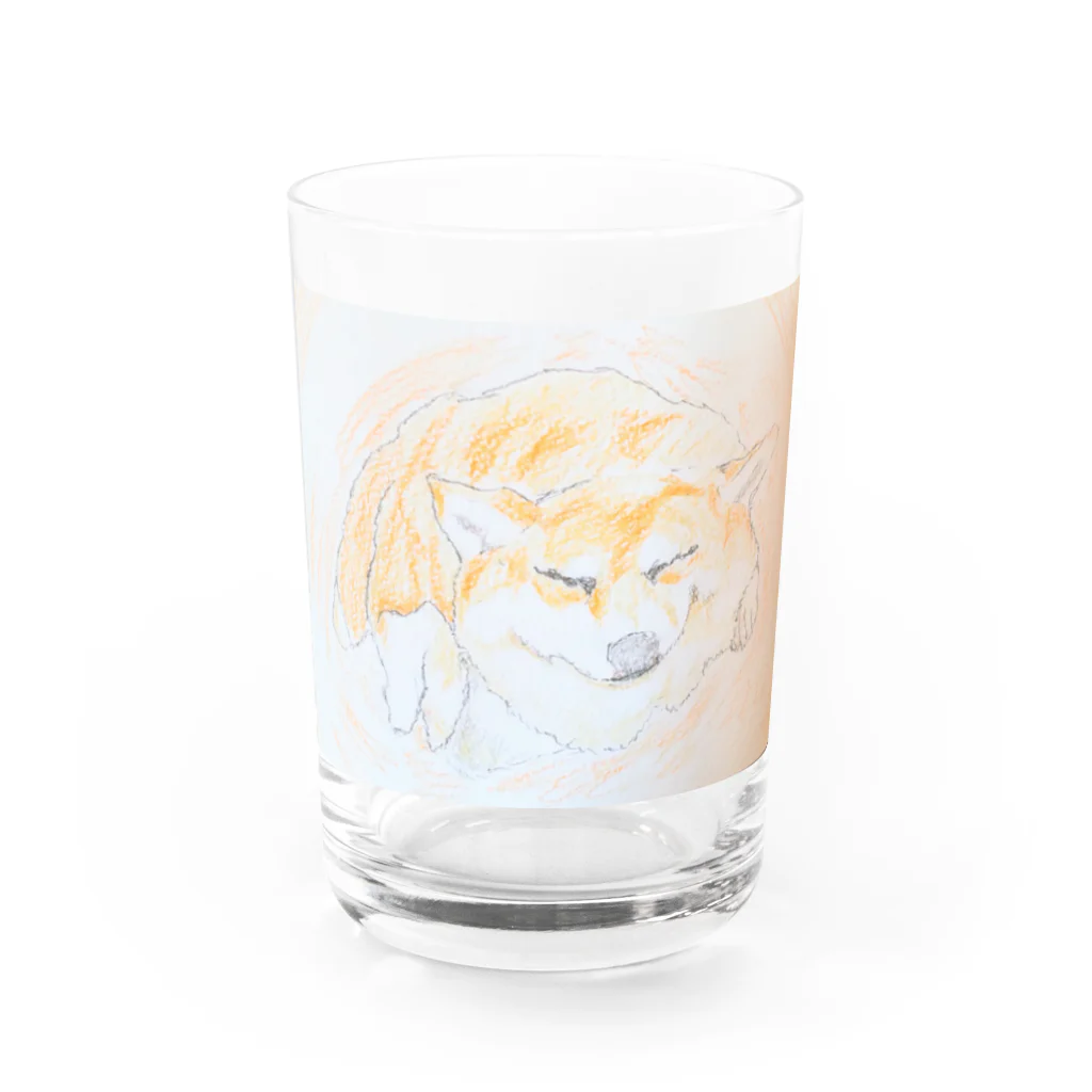 癒やし隊の柴犬 Water Glass :front