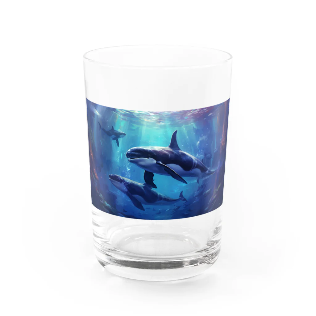 soeluのシャチと深海 Water Glass :front