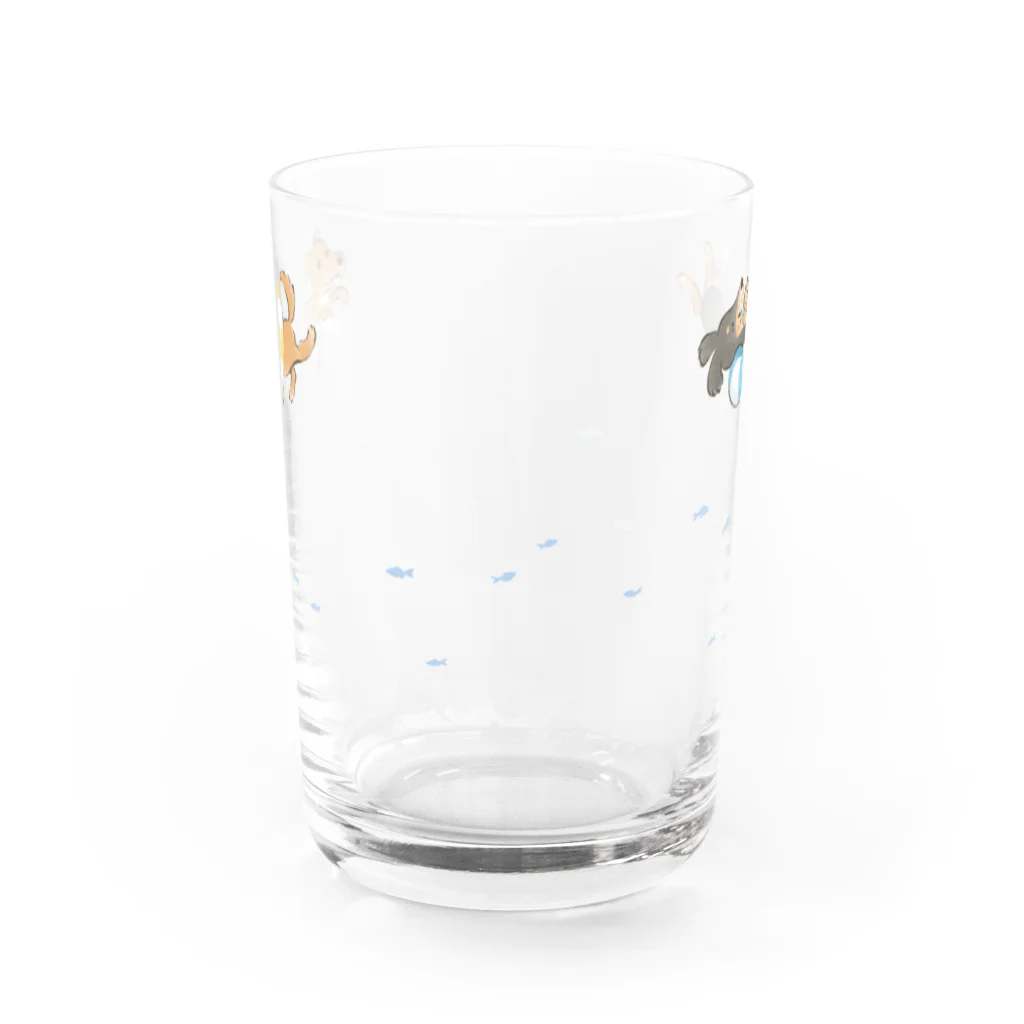 Mayeのぷかぷかダックスグラス Water Glass :front