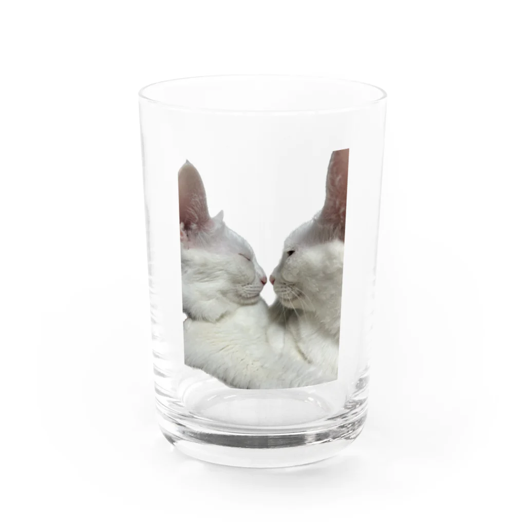 花鶴亀商店の鶴ちゃん＆亀 Water Glass :front