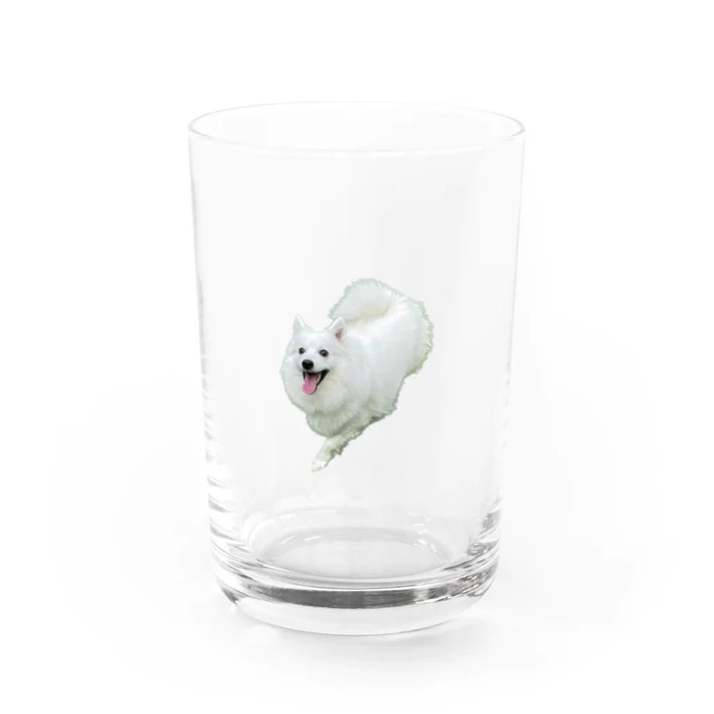 marospitzのしろいぬ Water Glass :front