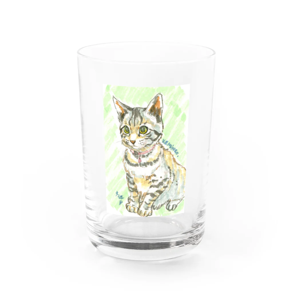 大江戸の子猫ケンケン グラス前面