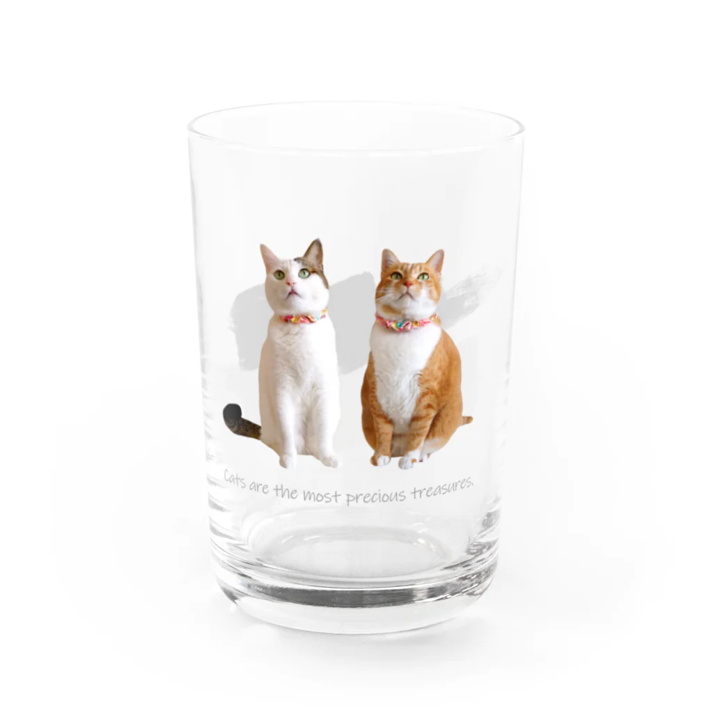 ナナちゃん・ポンちゃんのお店【SUZURI支店】のお座りねこ（グレー） Water Glass :front