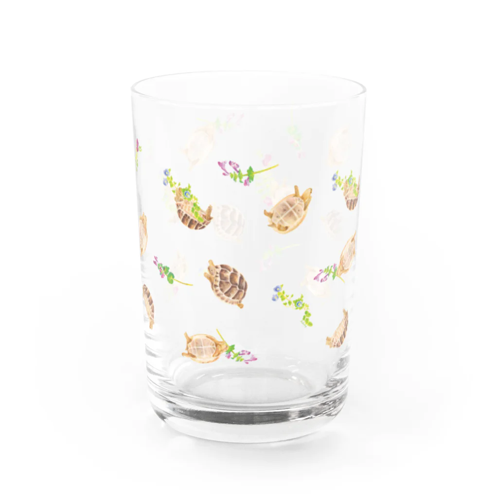 めろんぽっぷのお店だよの野の花とギリシャリクガメ Water Glass :front