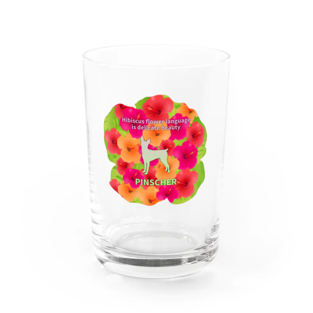 onehappinessのピンシャー　hibiscus　花言葉　onehappiness Water Glass :front