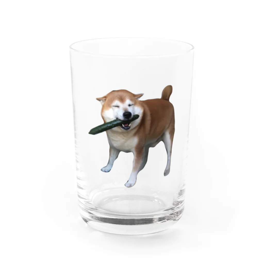 mod_ukのシバくん Water Glass :front