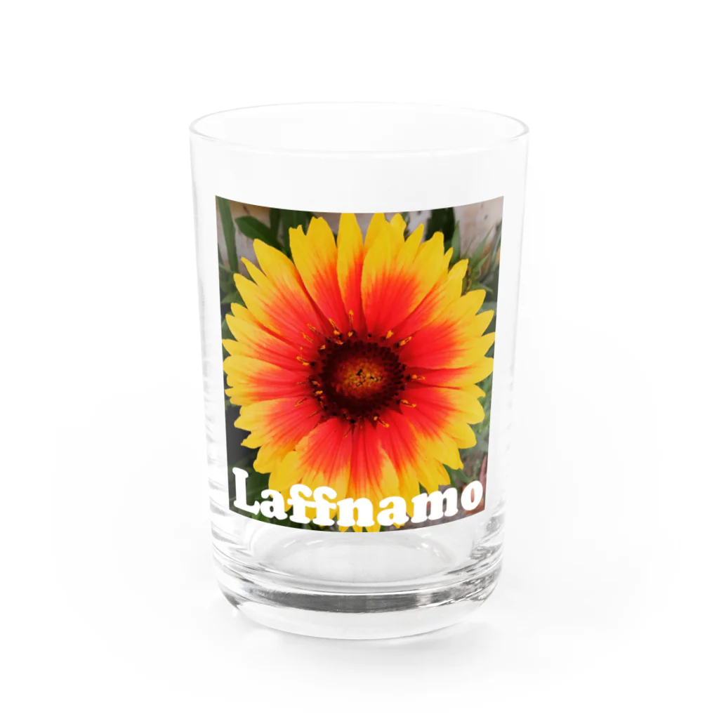 Laffnamo ラフなモーションのフラワー イエローオレンジ Water Glass :front