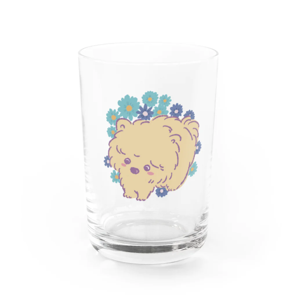 猫のきぬくんのお店のポメプーと青いガーベラ Water Glass :front