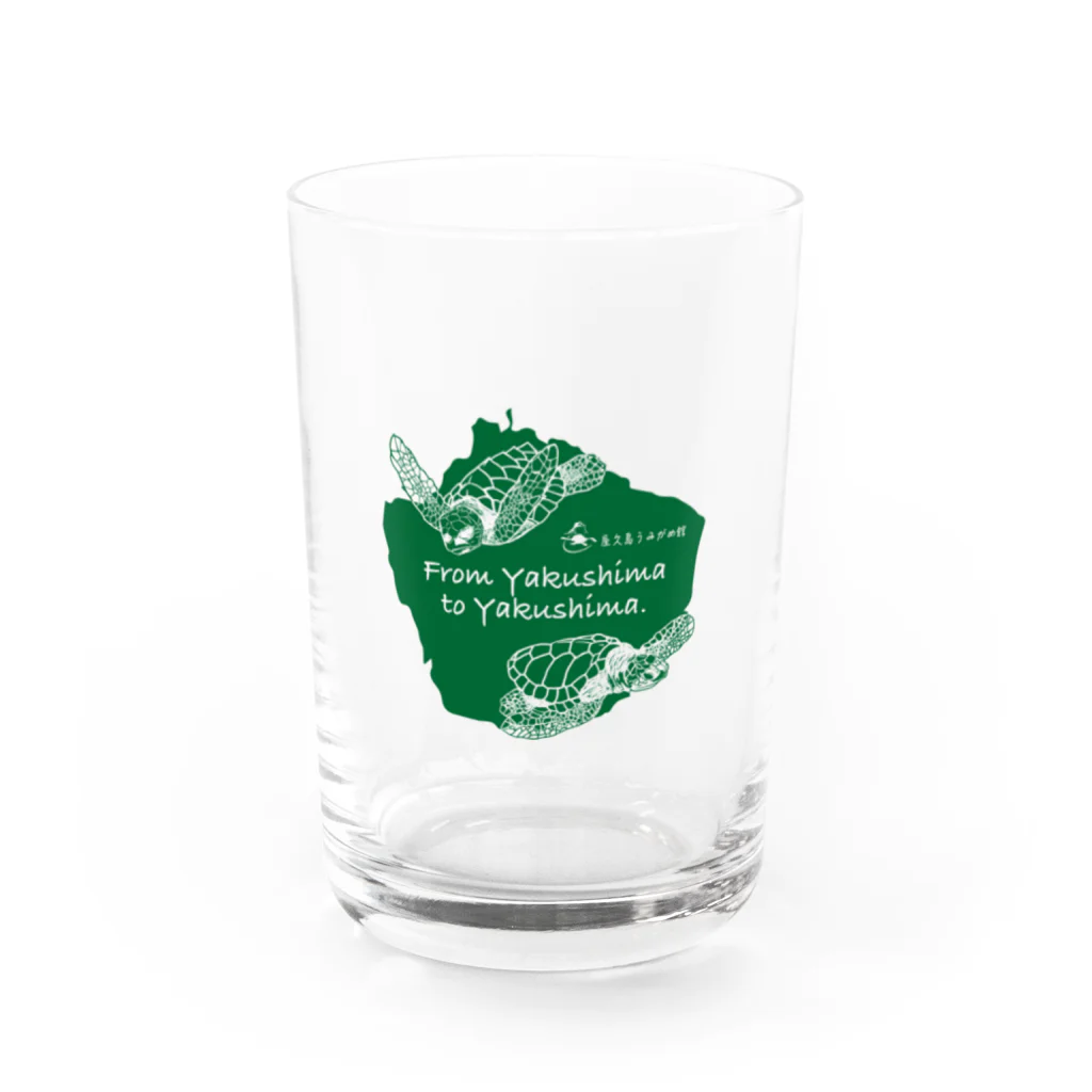 umigamekanのNPO法人 屋久島うみがめ館応援グッズ Water Glass :front