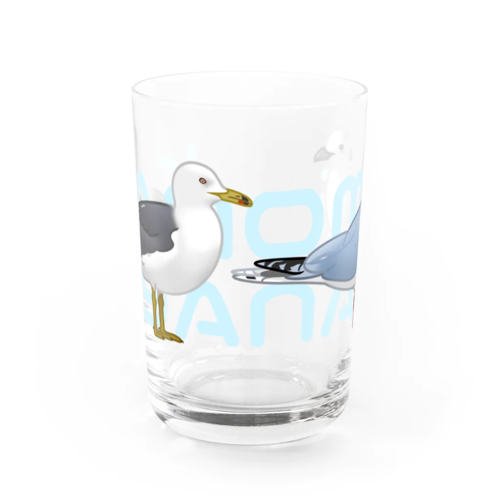 やちよ｜リアル鳥イラストのKAMOMEJYANAI～ズグロカモメさんとウミネコさん～ Water Glass :front