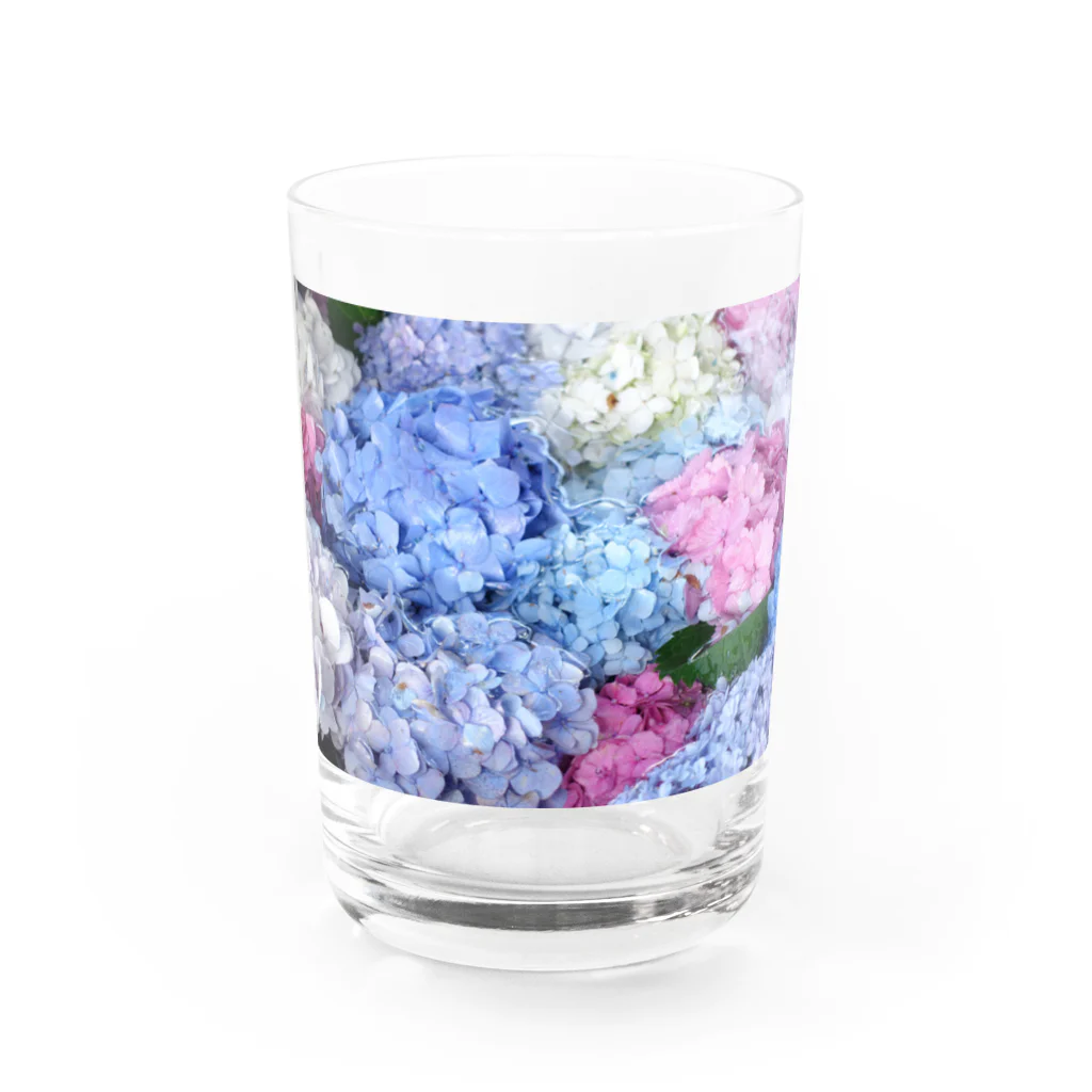 じょにーの紫陽花 Water Glass :front