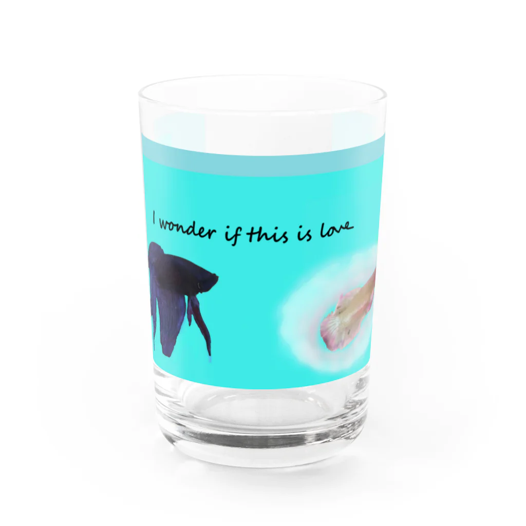 ♡BE HAPPY♡のこれが恋なのか・・・？ Water Glass :front