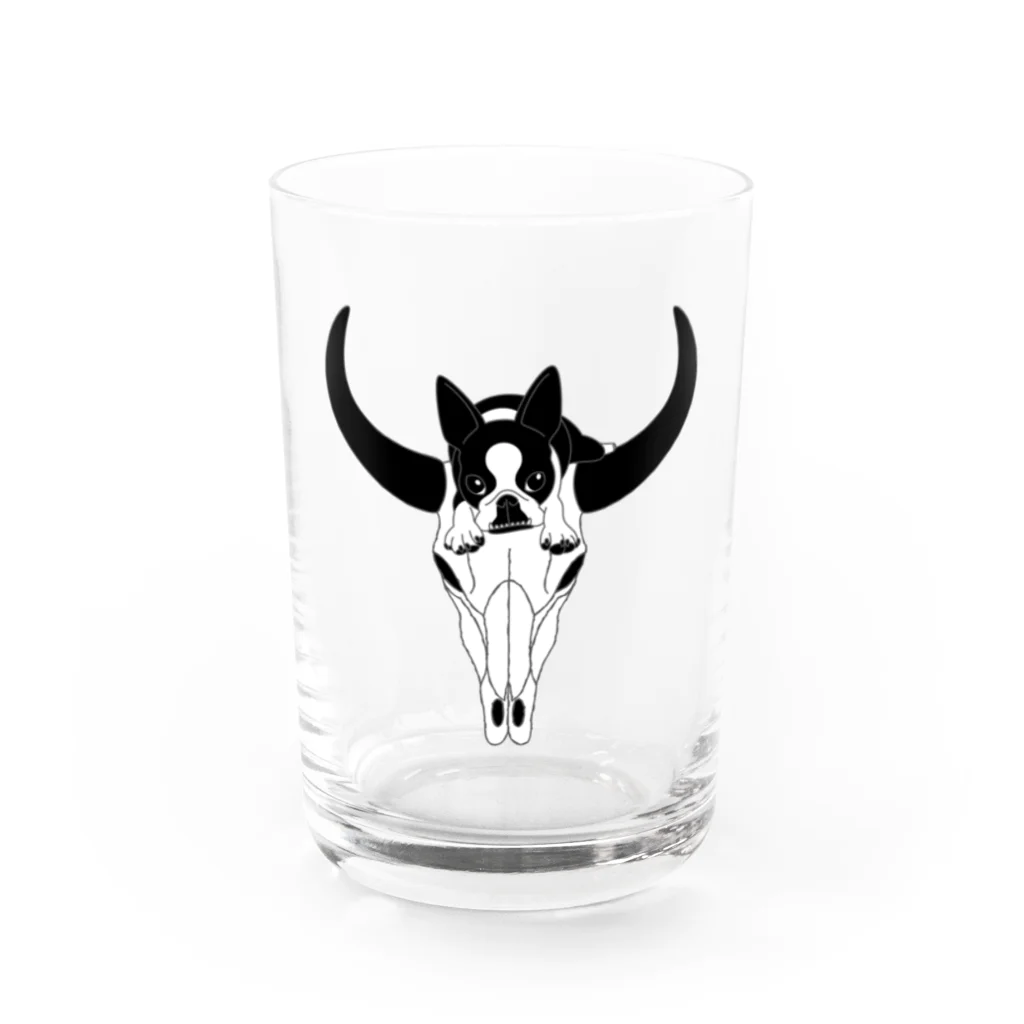 コチ(ボストンテリア)の小物用:ボストンテリア(牛の頭蓋骨)[v2.8k] グラス前面