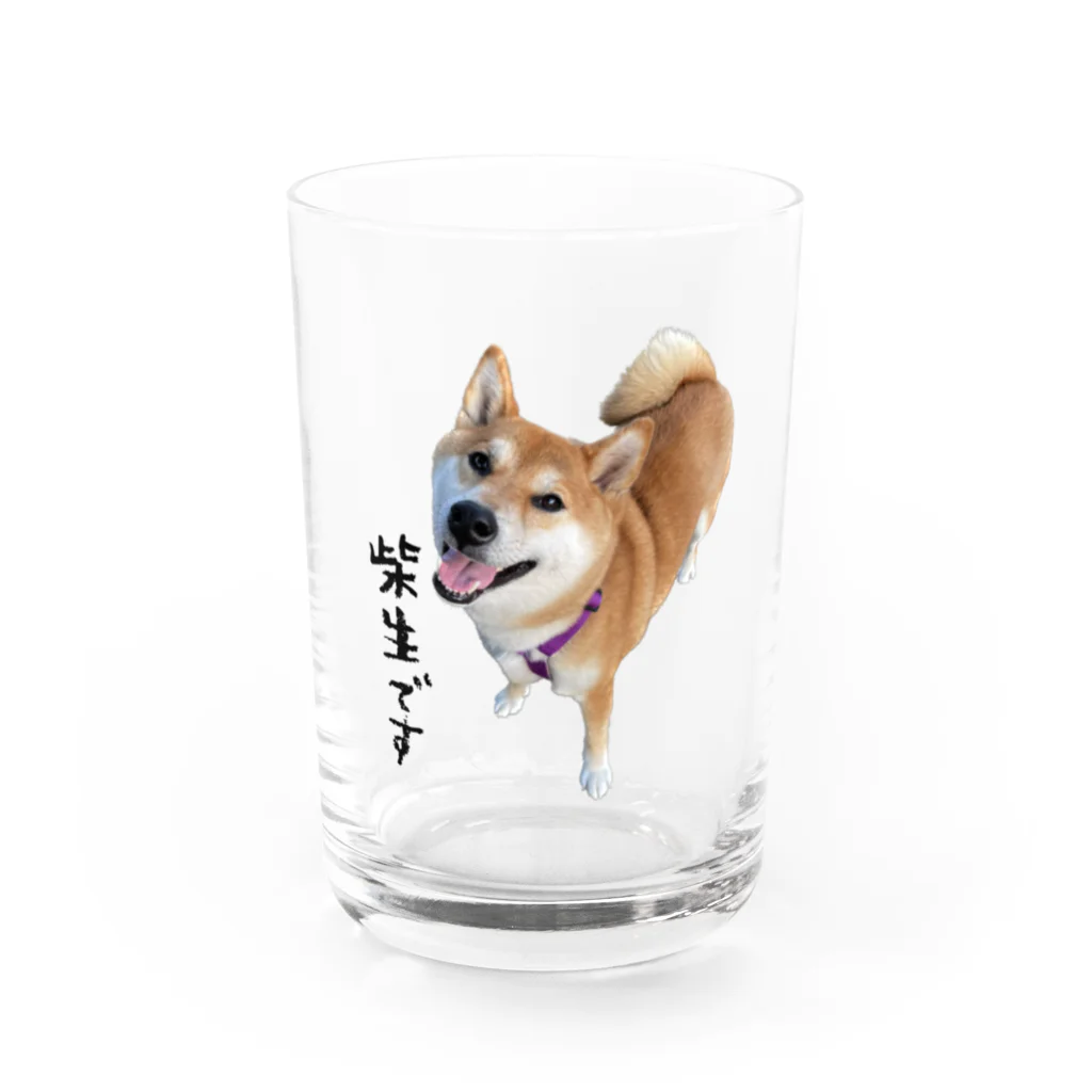 SHIBAOOOOOの柴生です グラス前面