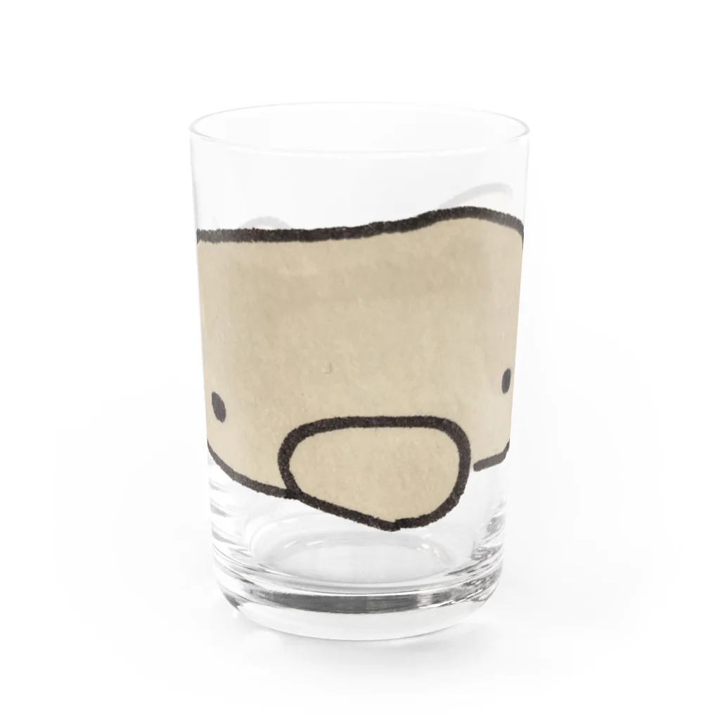 くまくま。ショップのコアラぱんのくまくま。のかおポ Water Glass :front