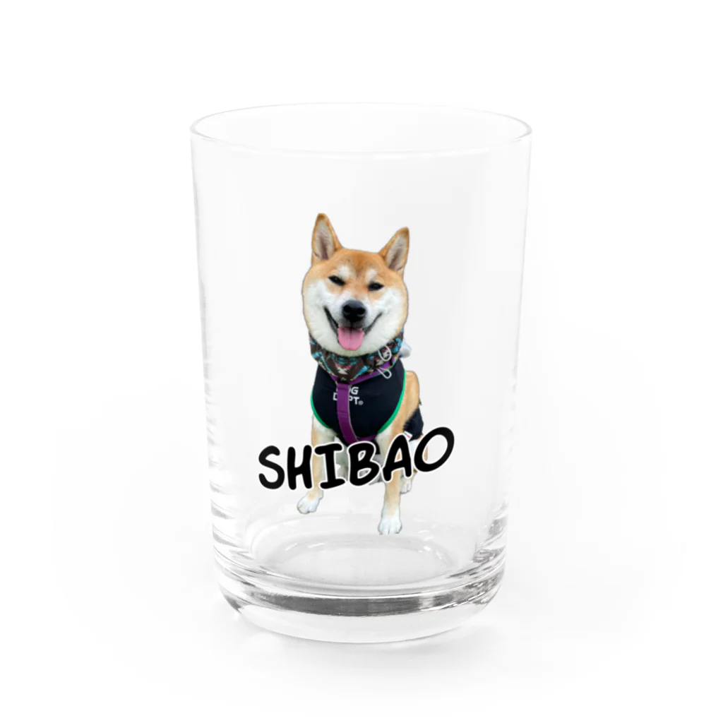 SHIBAOOOOOのSHIBAO  グラス前面