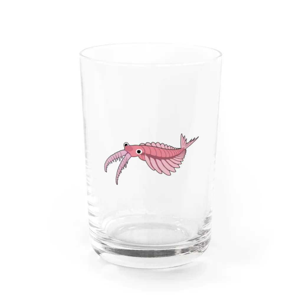 puikkoの古生物　アノマロカリス2 Water Glass :front