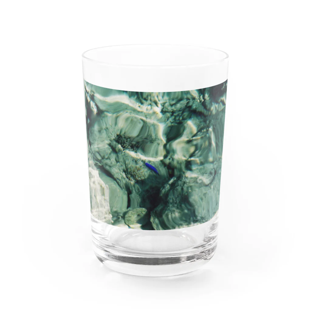 Let's Go for a Walkの宮古島の碧いサカナ Water Glass :front