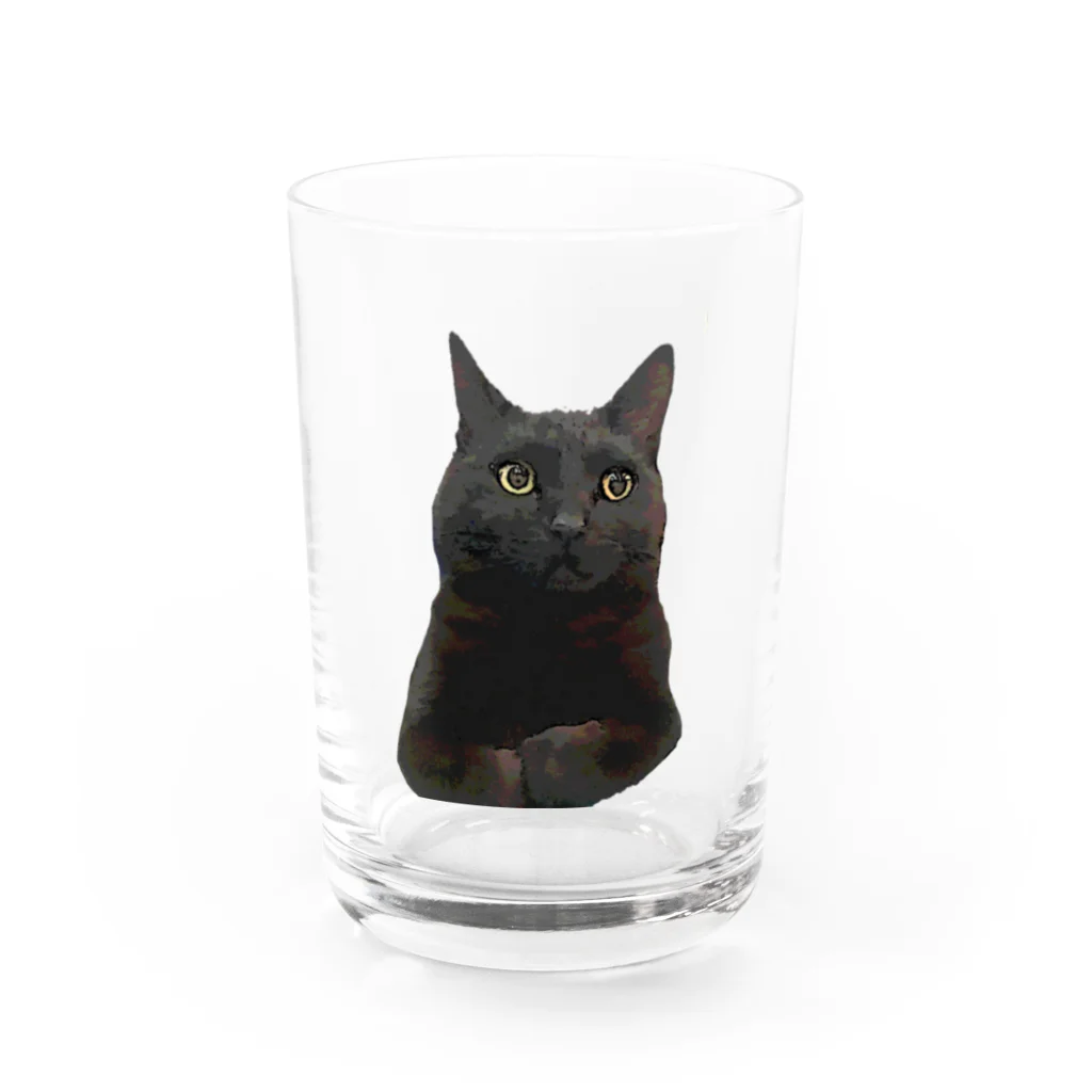 MKPoppp! shopのぼんやり黒猫 Water Glass :front